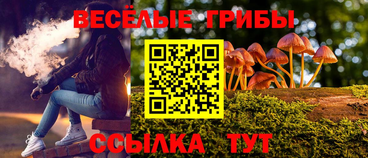 Псилоцибиновые грибы Psilocybine cubensis Городец