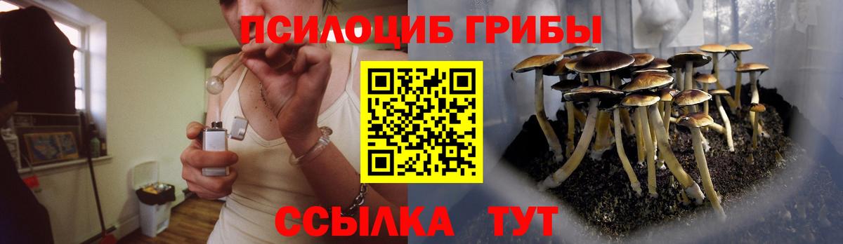 Псилоцибиновые грибы Cubensis  Вход с VPN  Городец 